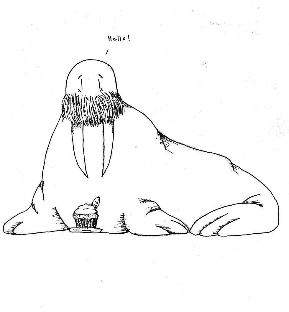 Walrus 1.jpg