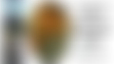 Forward Friday Recap.. The Antidote Series Cont'd.. Forgiveness.. Perseverance.. Faith.. Sightlines 2025... Raising Levels 2025