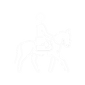 equestre2.png