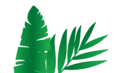 Planta