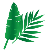 Planta