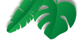 Planta