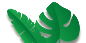 Planta