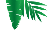 Planta