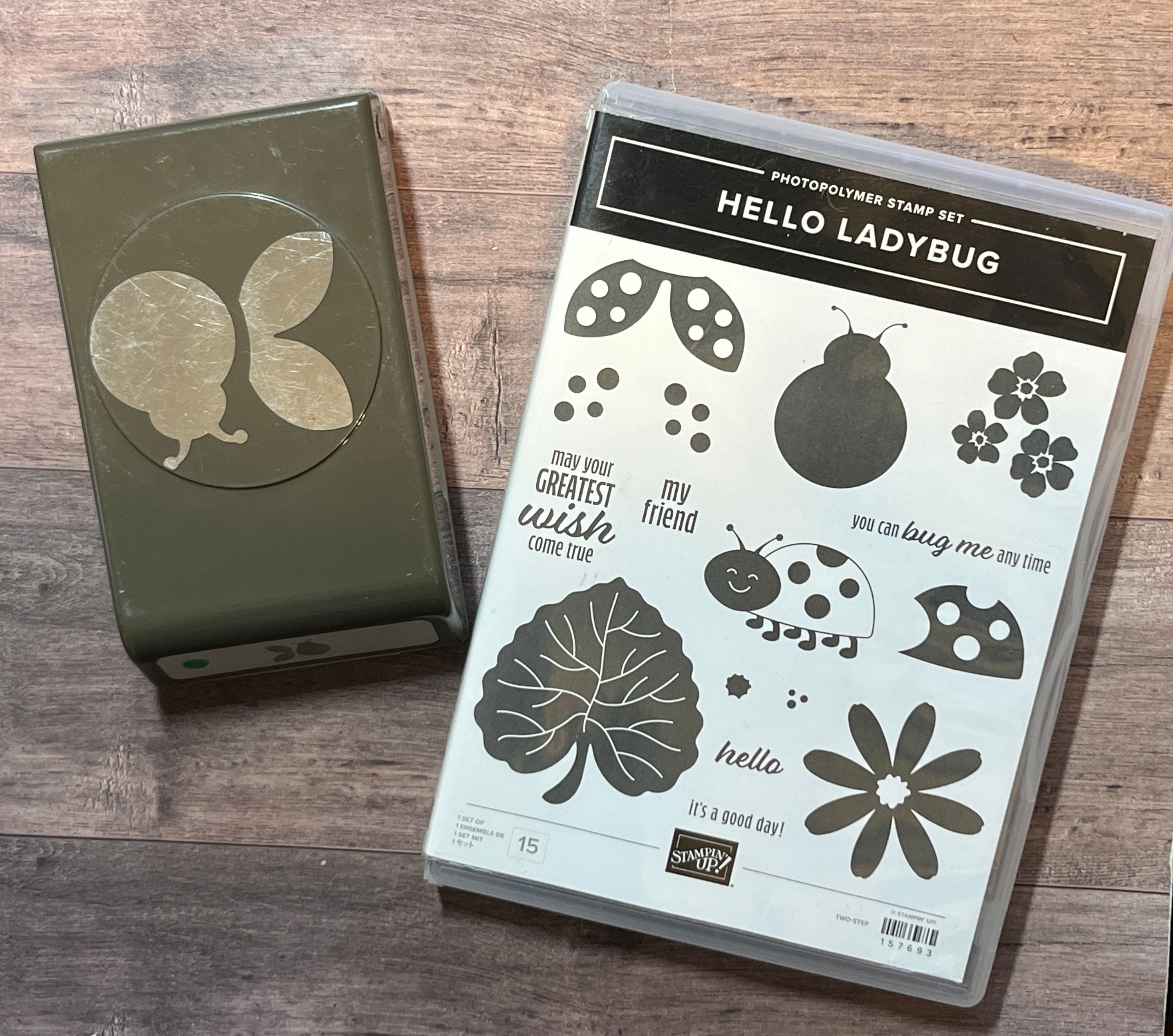 Hello Ladybug Bundle (Stamp Set & Punch)