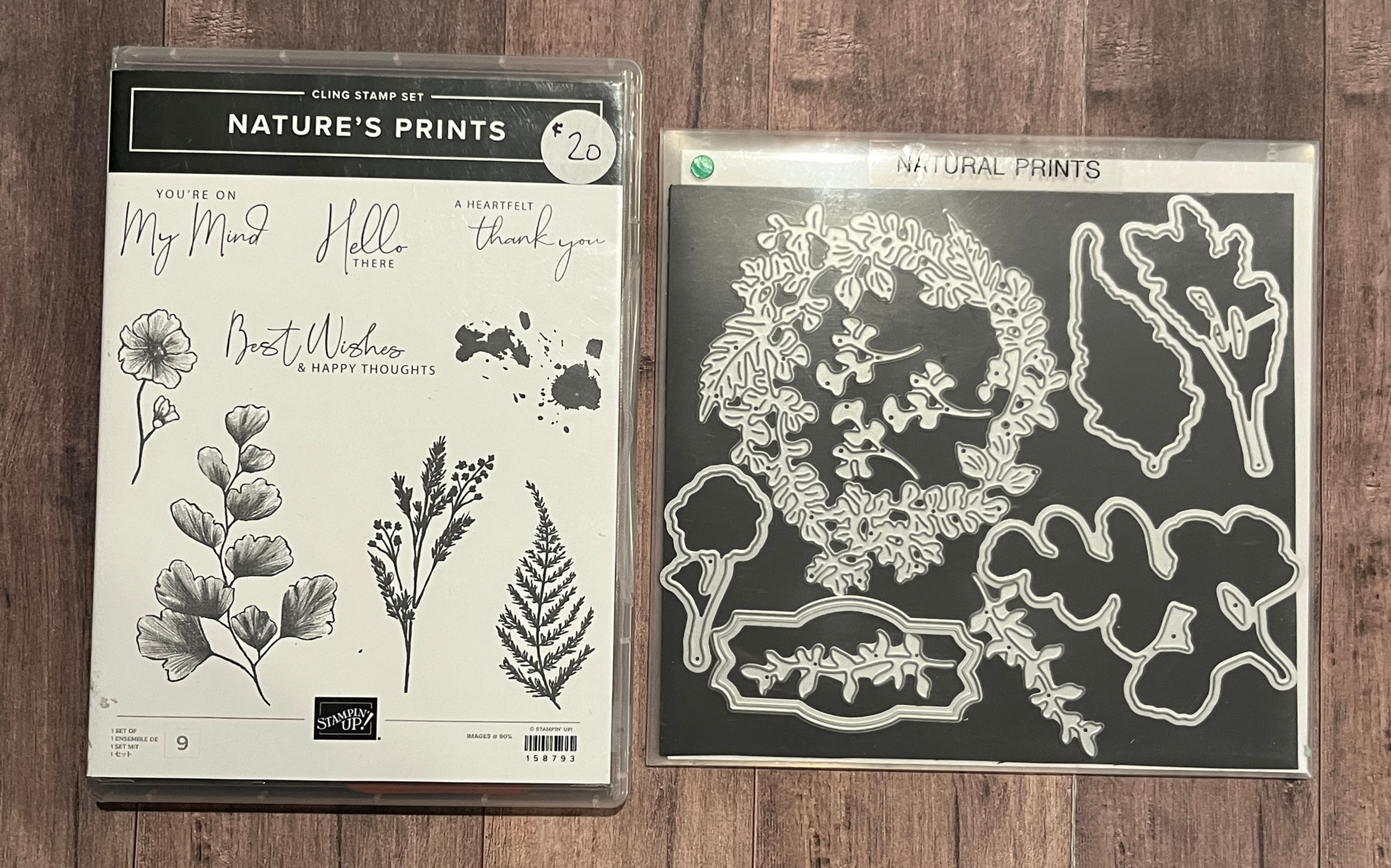 Nature's Prints Bundle
