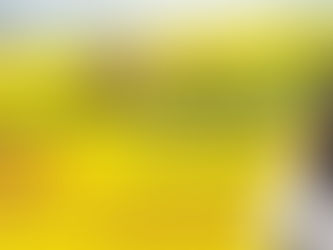 Nuevo Taller de Ayuno Intermitente en Climaterio y Menopausia