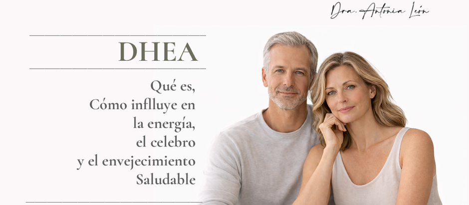 DHEA y envejecimiento saludable en hombres y mujeres - Clínica Dra. Antonia León