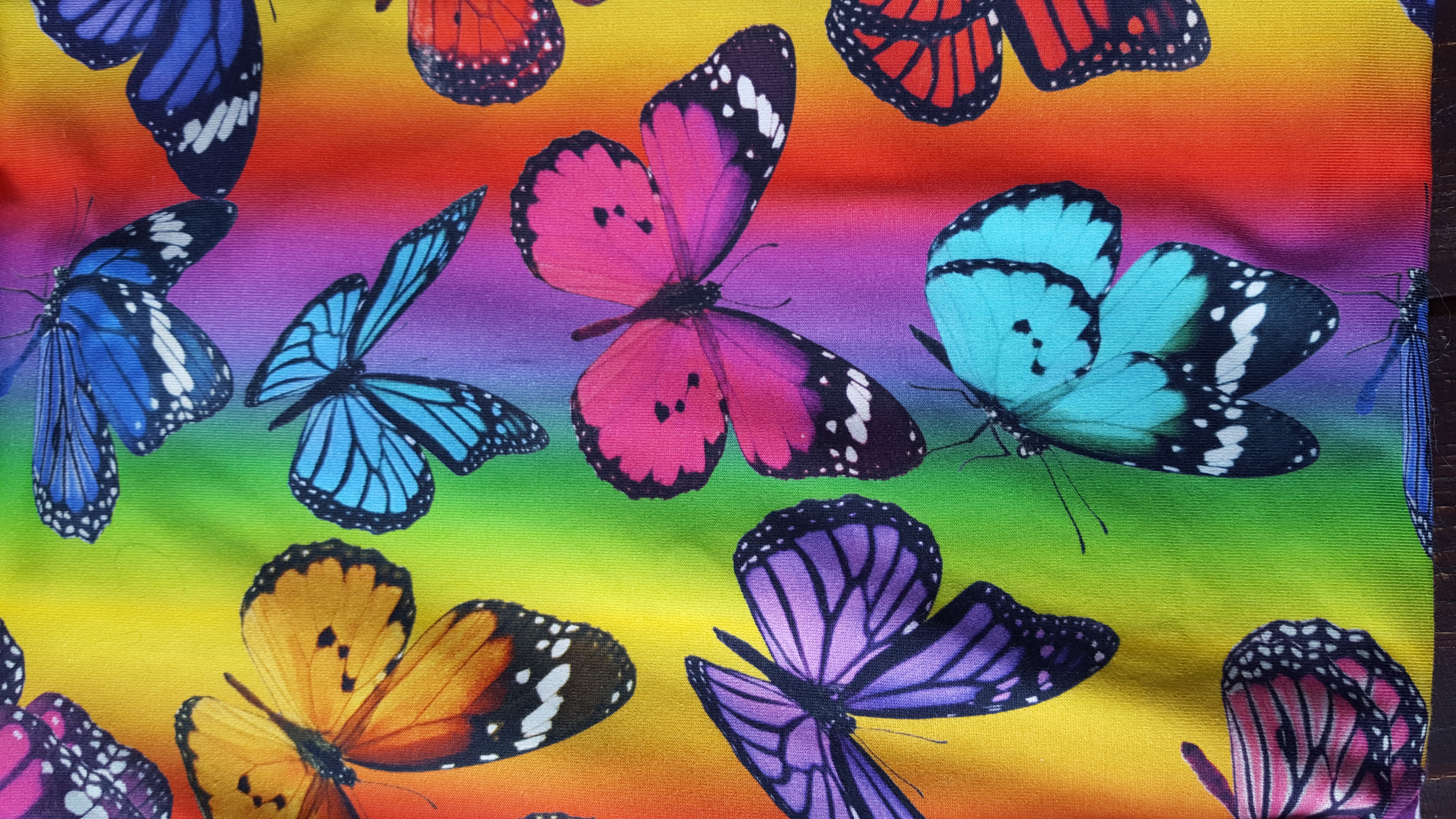 Regenboog vlinders