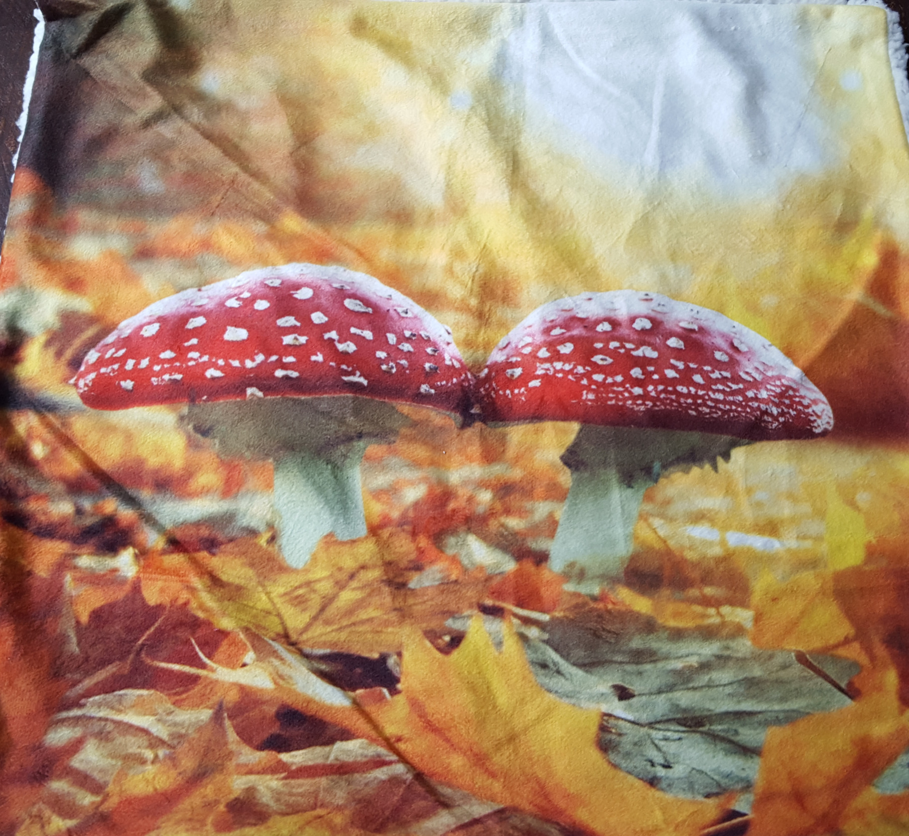 Paddestoelen