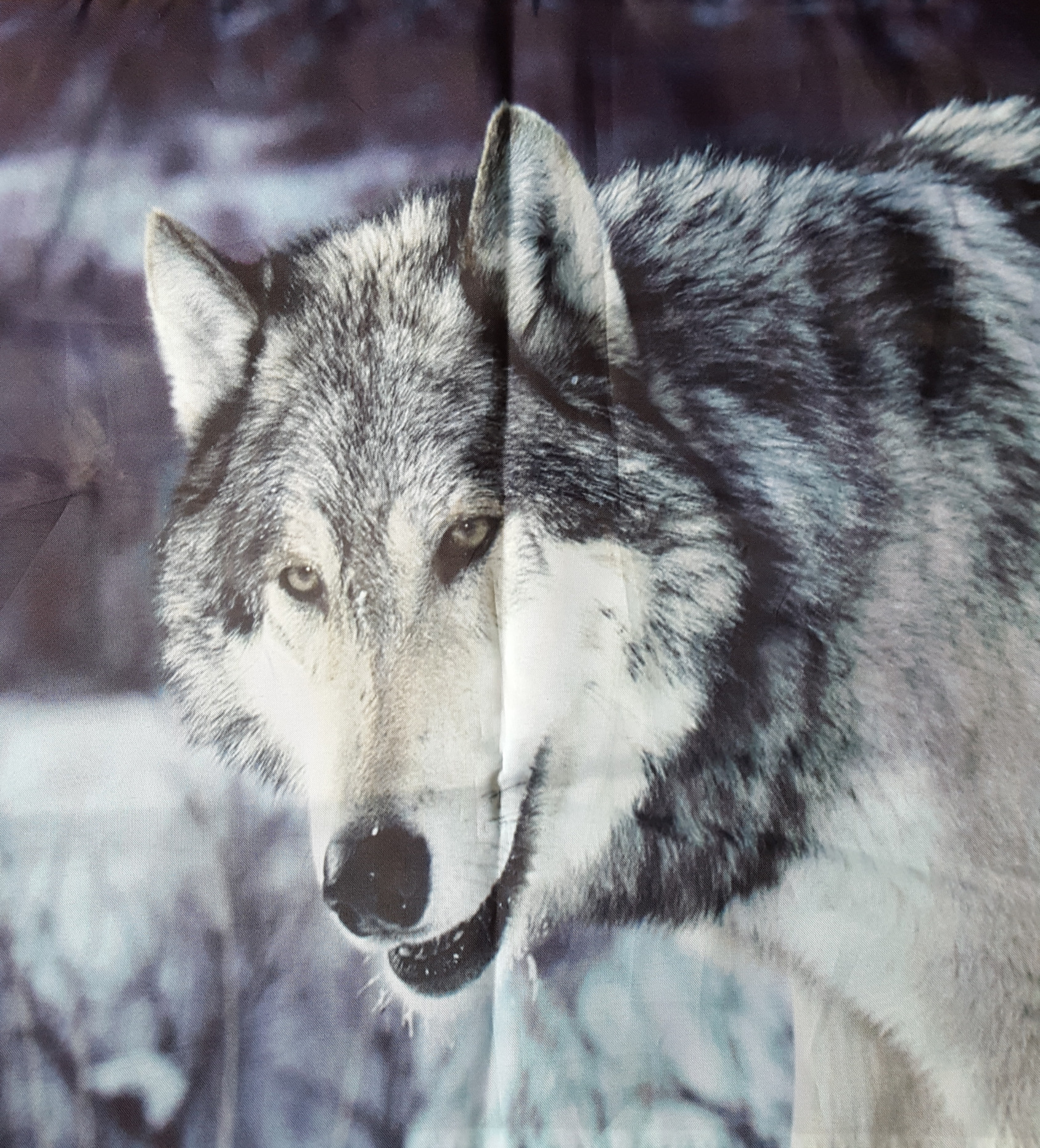 Wolf Blauw
