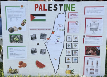Palestine booth erasing the existence of Israel & falsifying info
