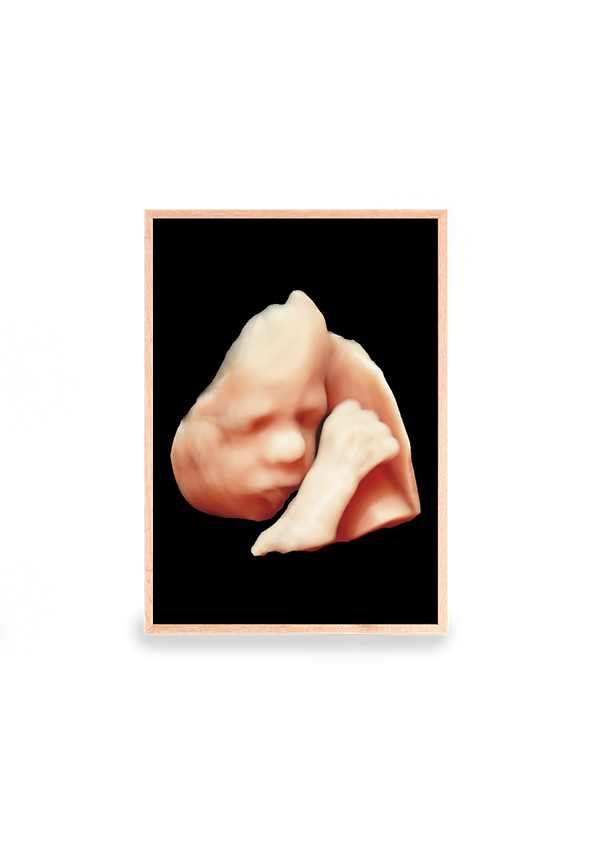 Detaljeret og smukt 3D scanningsbillede taget af Stork Scan