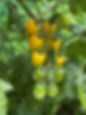 3E95AE0E-D7B7-4B5E-BC16-3171721B937B.jpeg
