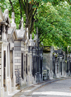 Paris-2009-17X22-442