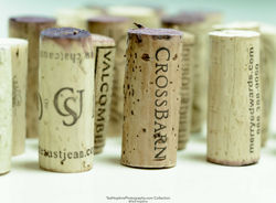Wine-Corks-17X22-348