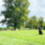 6936EE42-0521-49A5-B64D-13F5FDCAF21B.jpe