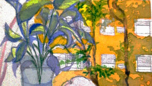 Piante