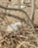 WhatsApp Image 2024-06-25 at 10.50.55