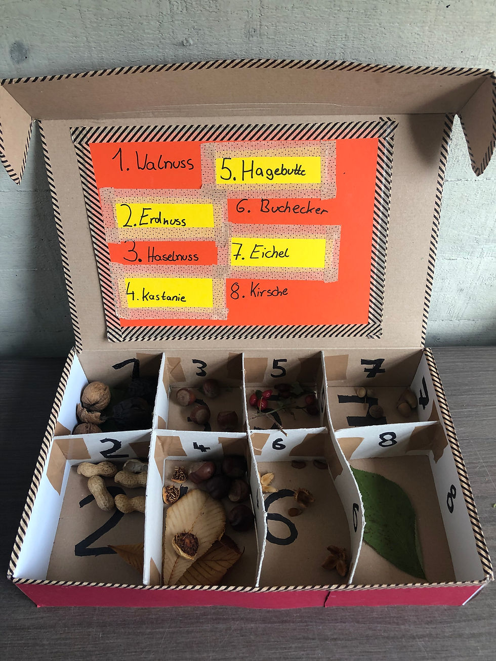 Früchtesammlungen 6b/c
