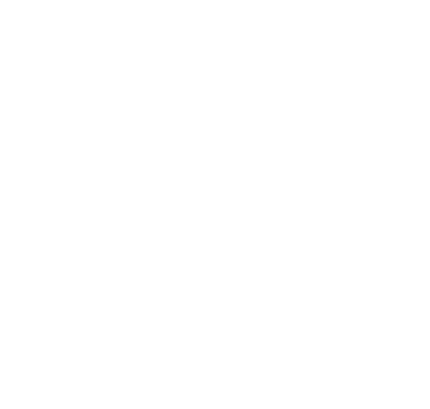 Star Princeton.png