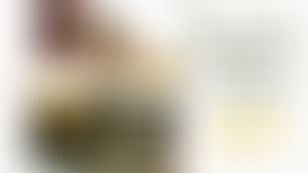 How to Choose the Right Color Palette for Your Business (Why It Matters)