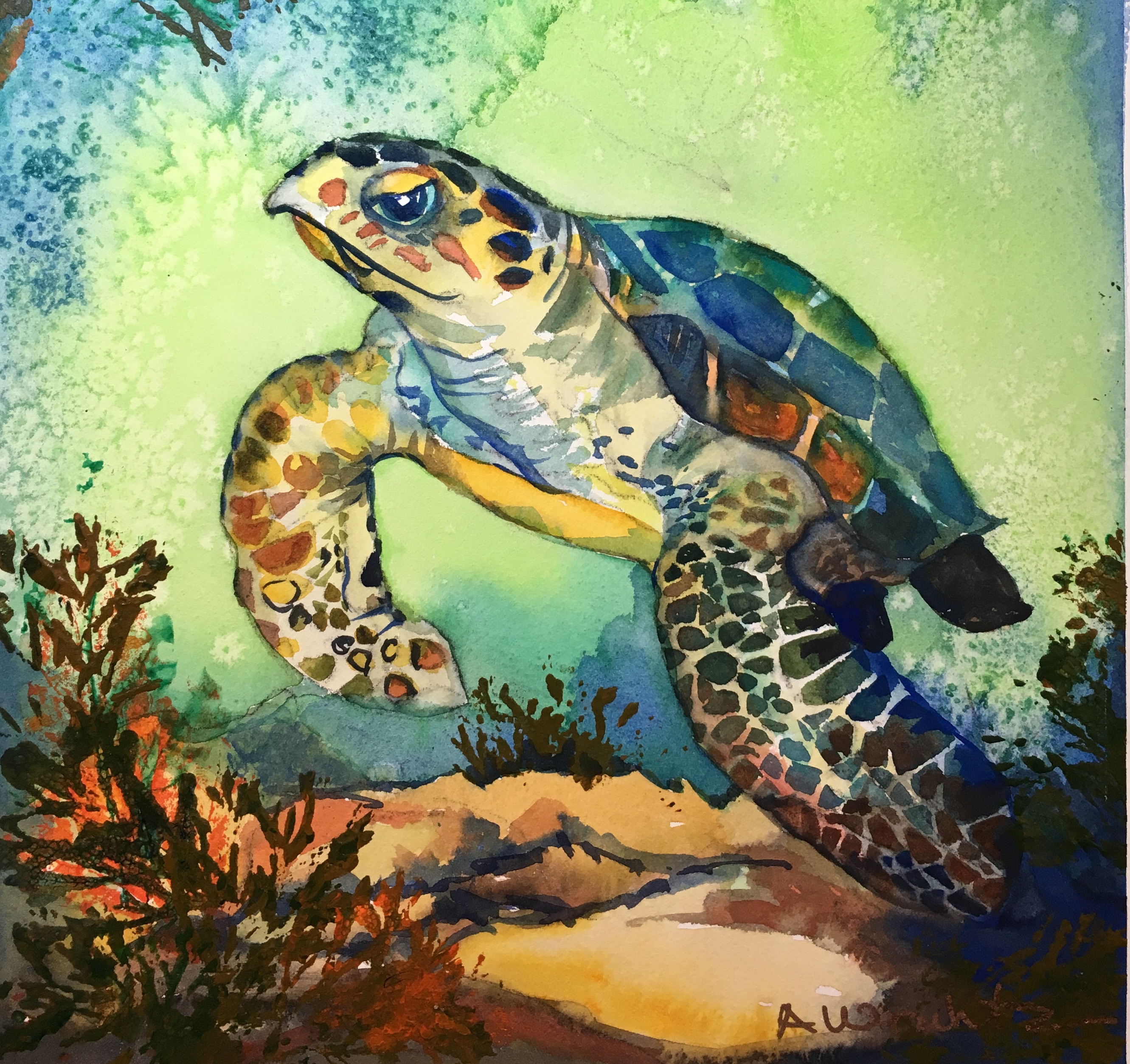 "Serious Turtle"