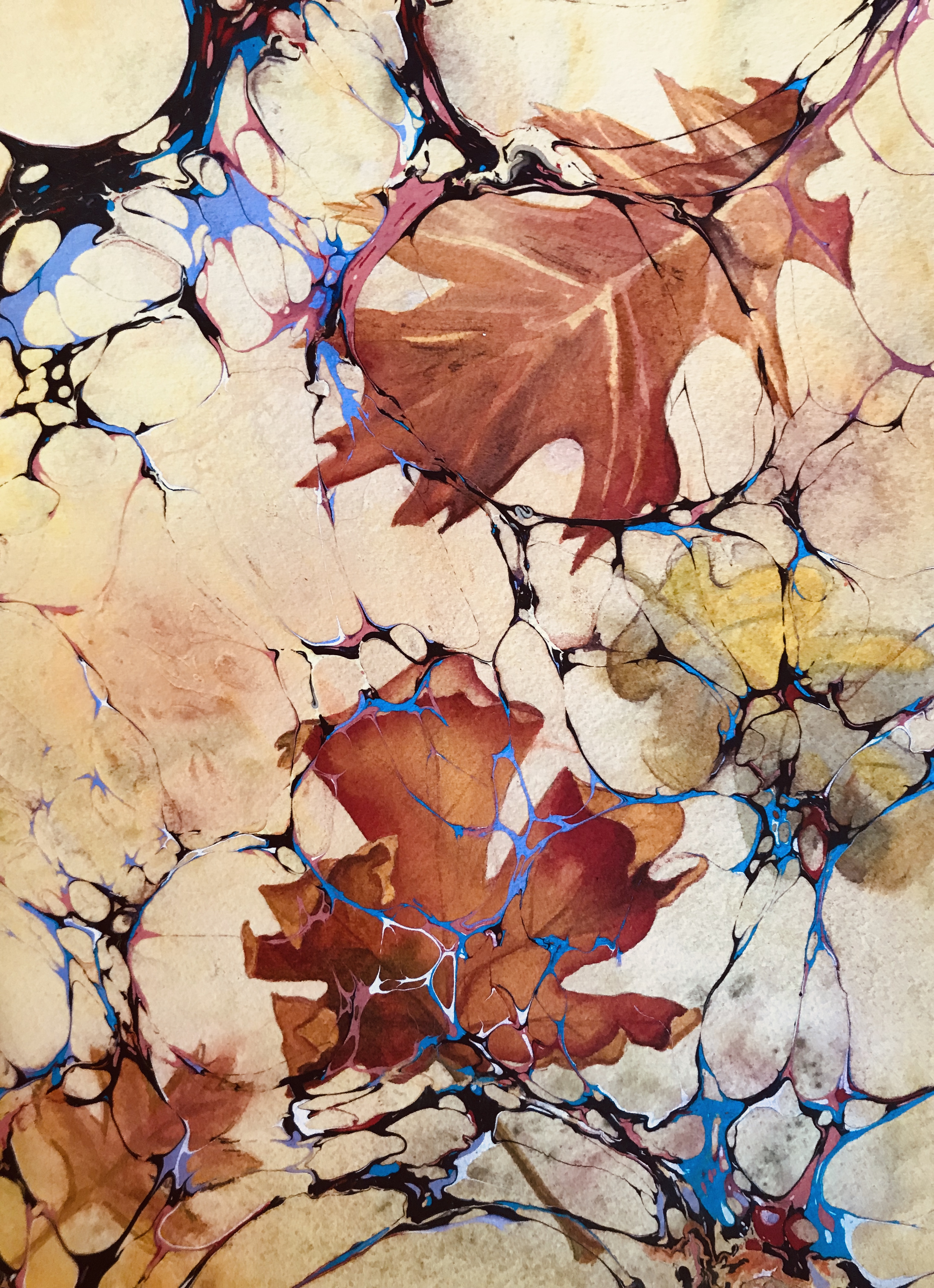 Autumn Wind
