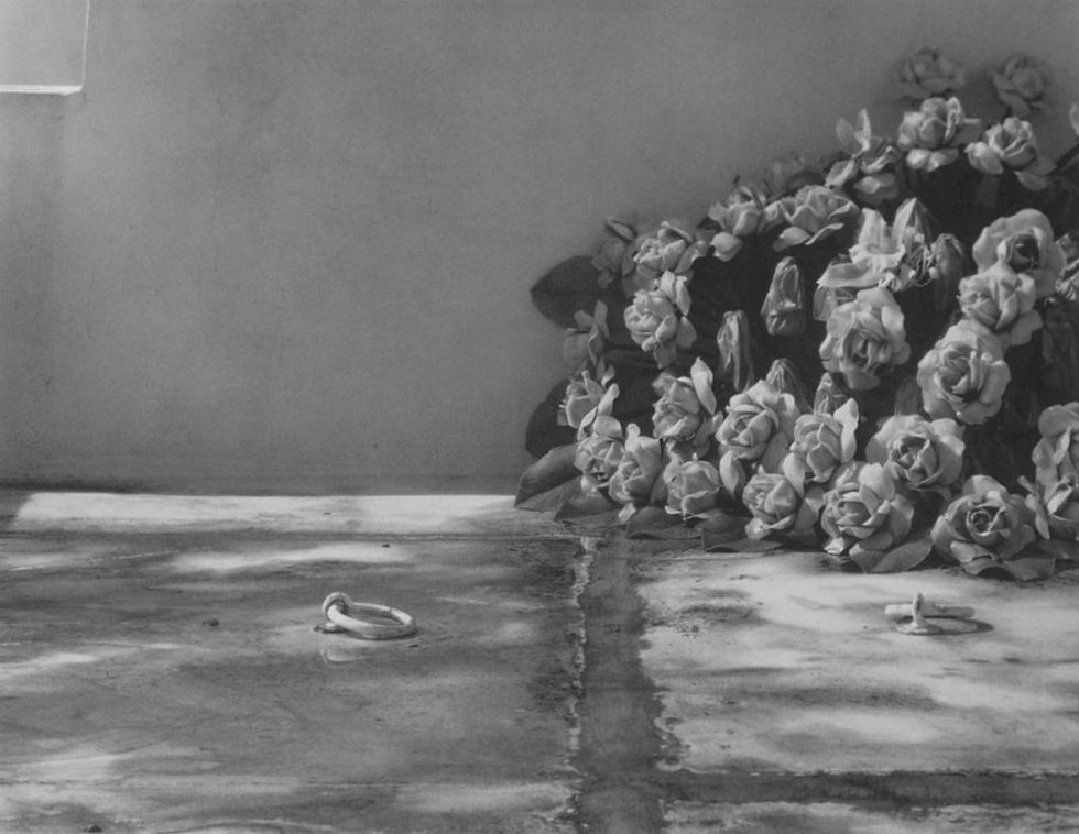 Miniature : MINOR WHITE: THE EYE THAT SHAPES