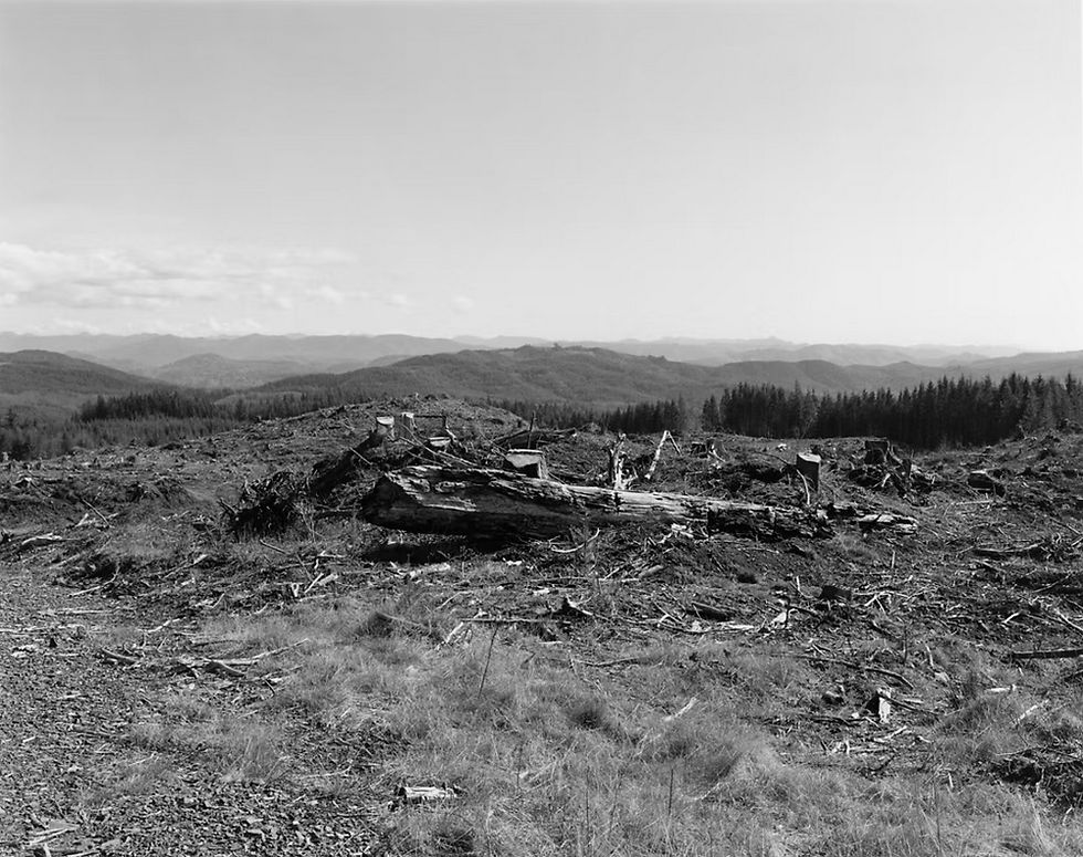 Miniature : ROBERT ADAMS : TURNING BACK