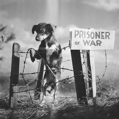 PHIL STERN - A LIFE'S WORK | lglr1