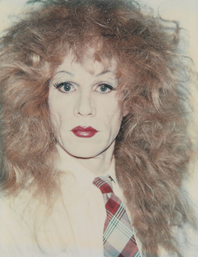 Miniature : ANDY WARHOL POLAROIDS 1971-1986
