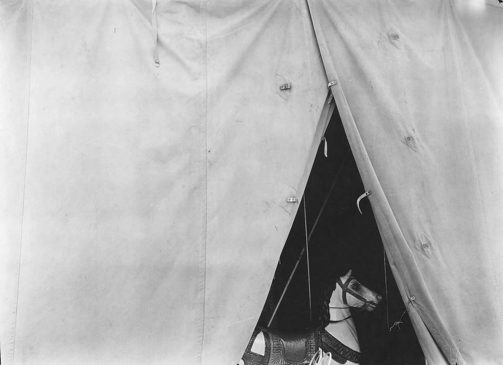 Miniature : GUY BOURDIN : UNTOUCHED