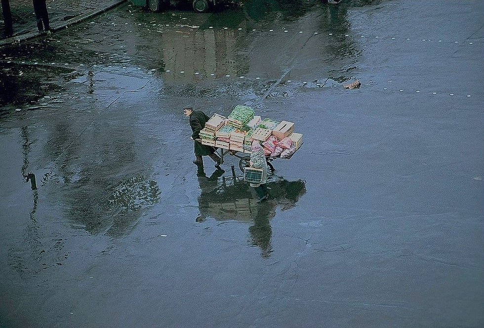Miniature : DOISNEAU. PARIS LES HALLES