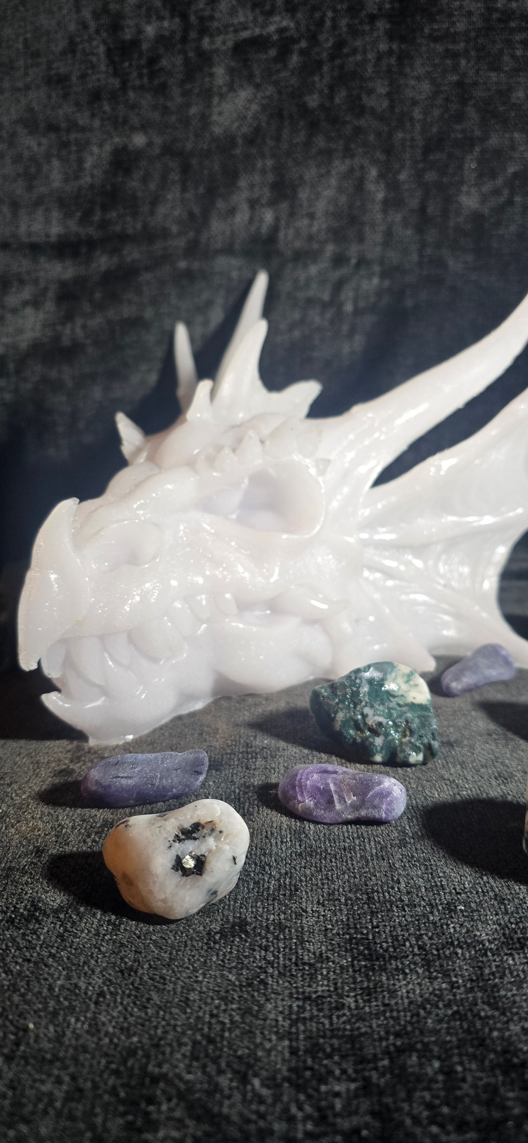 dragon skull bone/white