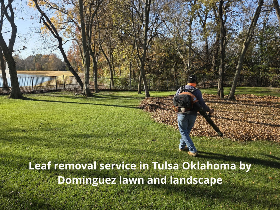 Why leaf removal matters: Tulsa guide to a cleaner, healthier yard this fall.