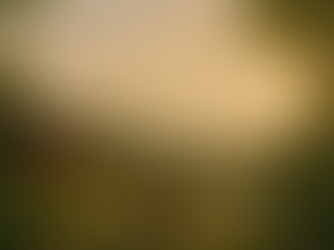 🌿✨ Le Retraite Régénérative 3HLà où chaque séjour devient une transformation