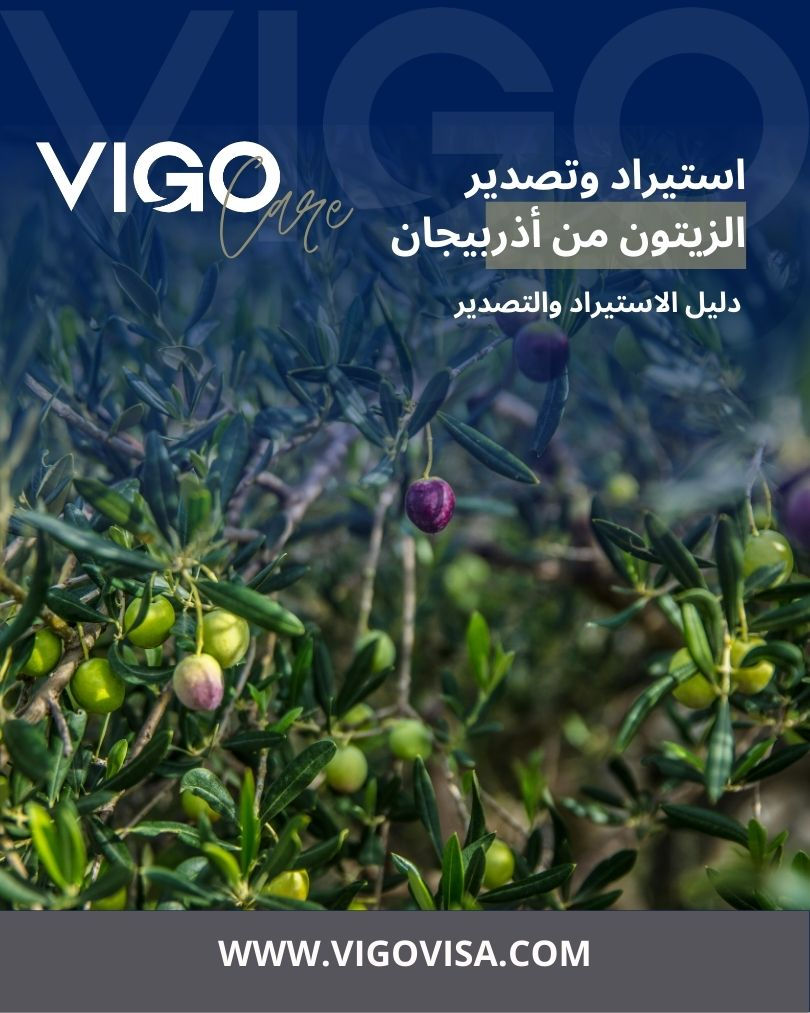 يُعد الزيتون من المحاصيل الزراعية الناشئة في أذربيجان، حيث شهدت زراعته تطورًا ملحوظًا خلال السنوات الأخيرة بدعم من البرامج الزراعية الحكومية، إلا أن الإنتاج المحلي لا يزال غير كافٍ لتغطية الطلب الداخلي بالكامل، ما يجعل الاستيراد عنصرًا أساسيًا في السوق، بالتوازي مع تصدير محدود وموجّه للأسواق الإقليمية. استيراد و تصدير الزيتون في أذربيجان - تجارة الزيتون في أذربيجان