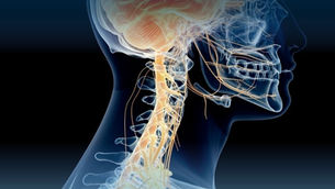 تُعَدُّ اضطرابات الجهاز العصبي في قطر من الحالات الطبية التي تؤثر على جودة الحياة بشكل كبير، وتشمل مشكلات مثل الاعتلال العصبي، التصلب المتعدد، الشقيقة (الصداع النصفي)، الأمراض التنكسية العصبية، وإصابات الأعصاب المحيطية. وفي قطر، تمتلك الدولة نظامًا صحيًا متطورًا يقدم رعاية متكاملة ومتقدمة لعلاج هذه الحالات من خلال مؤسسات طبية متخصصة وفرق من الأطباء ذوي الخبرة. علاج الأعصاب في قطر - دليل علاج الأعصاب في قطر