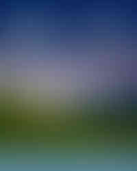 physical treatment in turkey