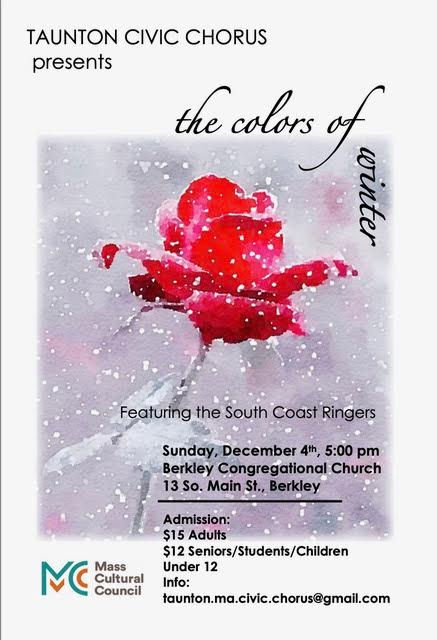 pexels-cottonbro-8767194