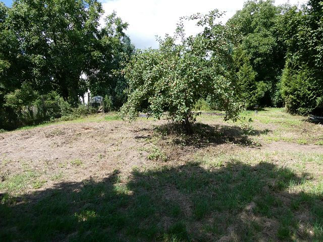 Baugrundstück in Mindersdorf