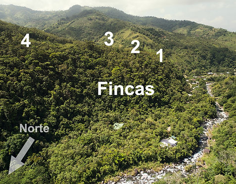 monte_azul_web 84_edited_edited.jpg