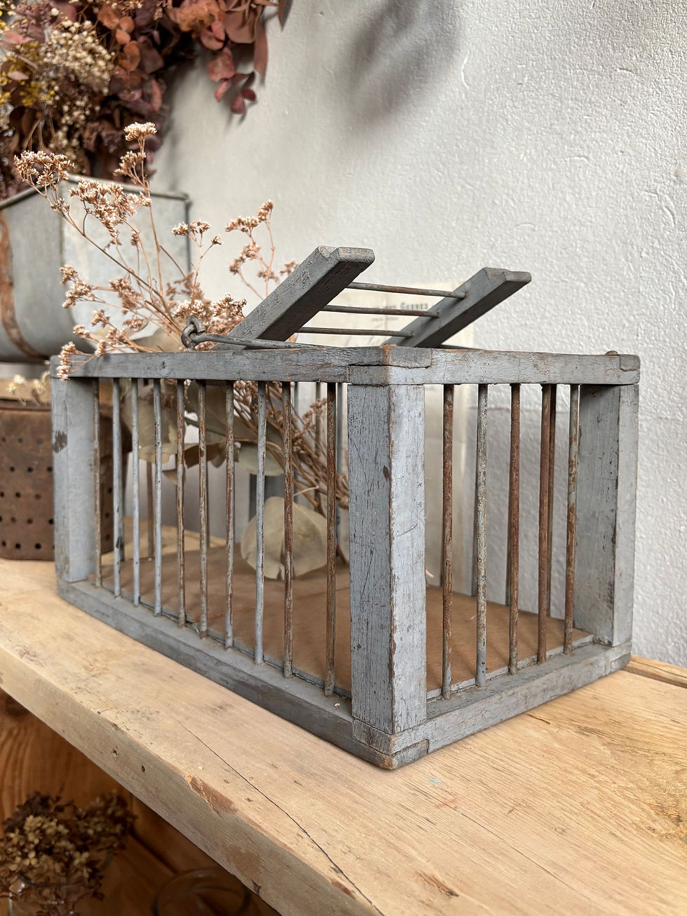 Miniature : Cage à oiseaux 