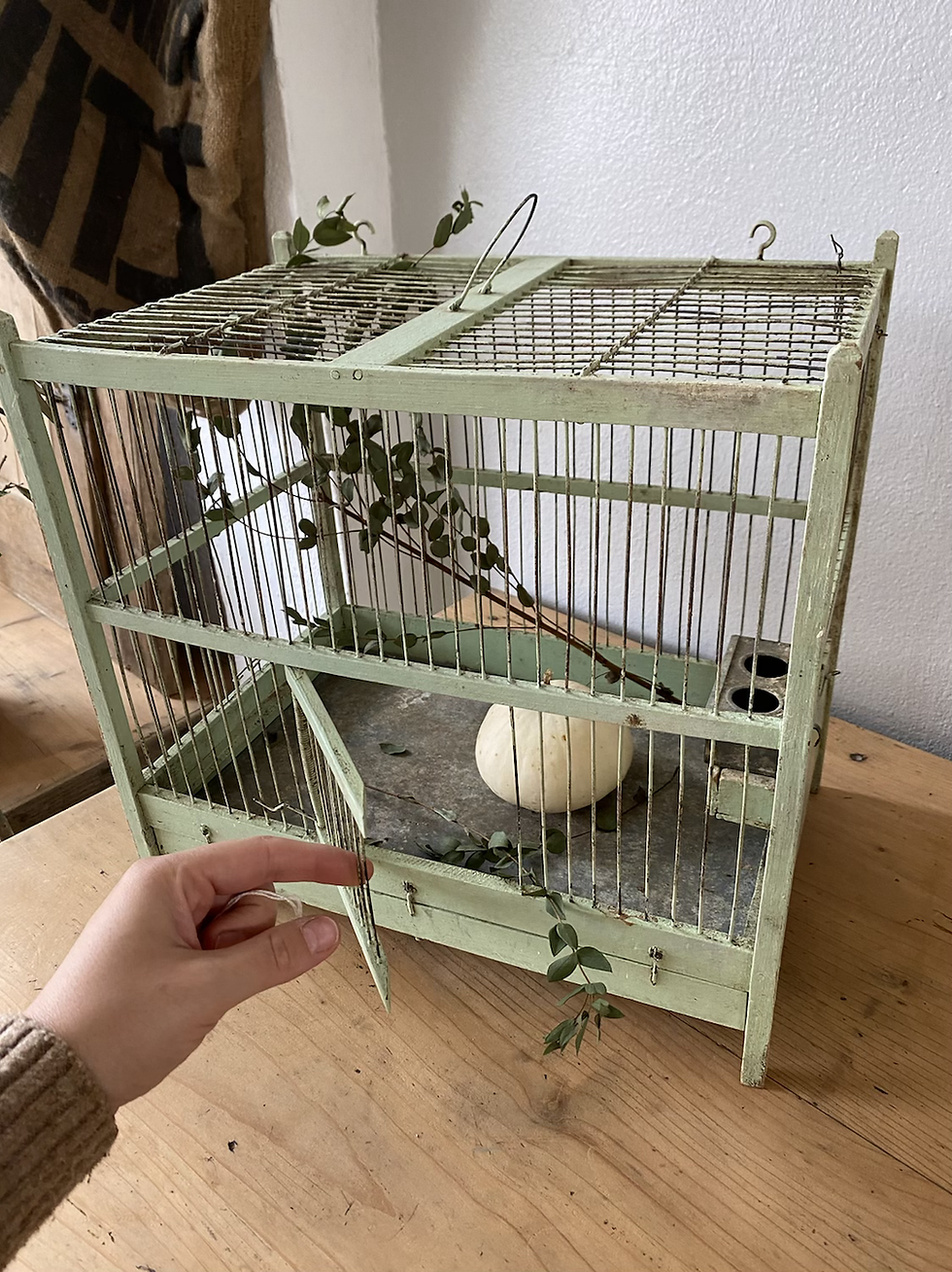 Miniature : Cage à oiseaux vert clair 