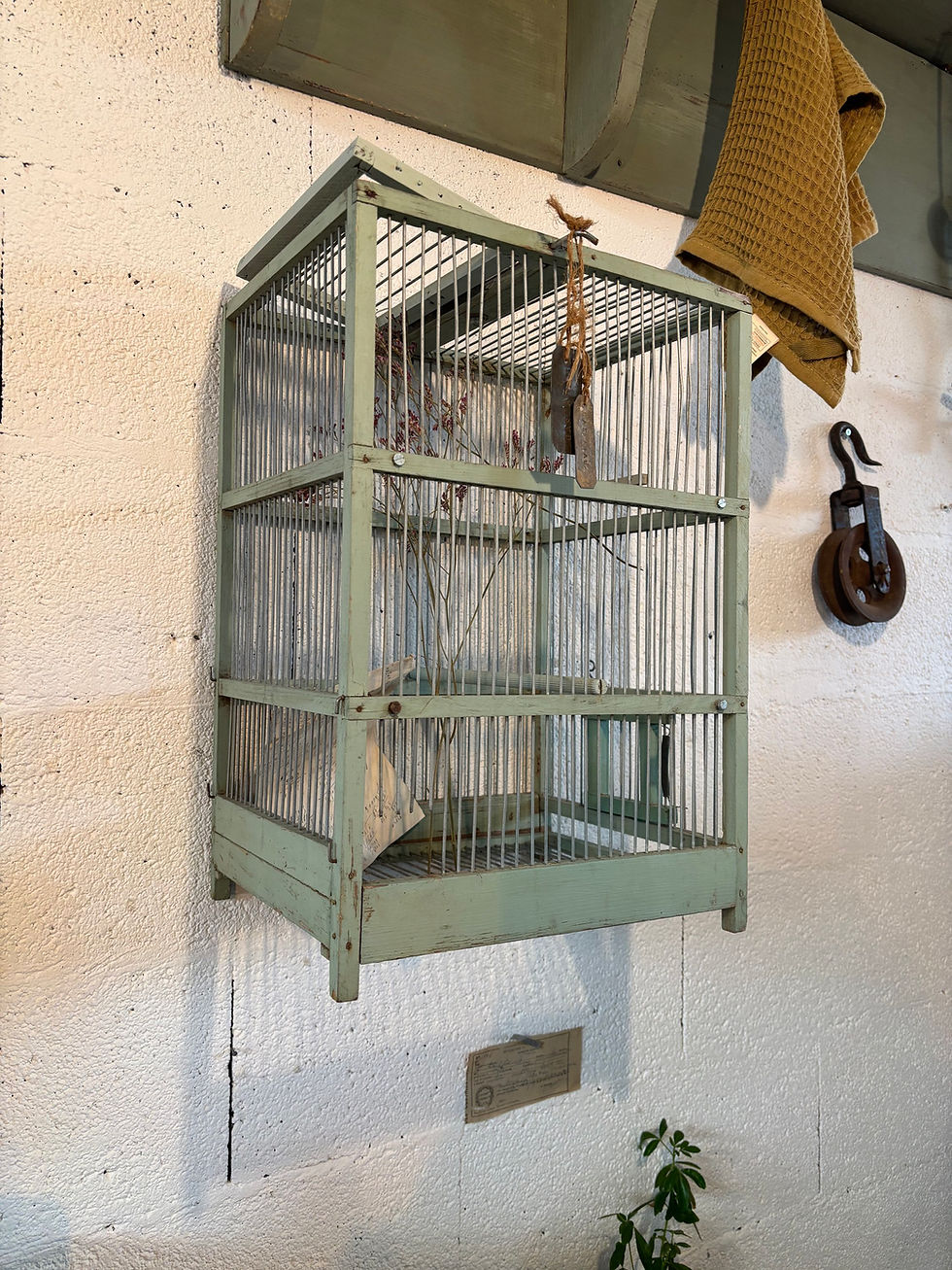 Miniature : Cage à oiseaux vert d’eau 