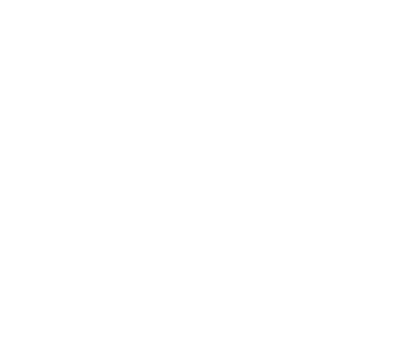 Skypuck Logo White.png