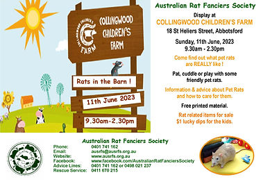 Collingwood 2023 Public.jpg