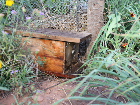 How to make a bumble bee house