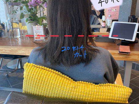 2022年ニュースタイルでスタート(^^)